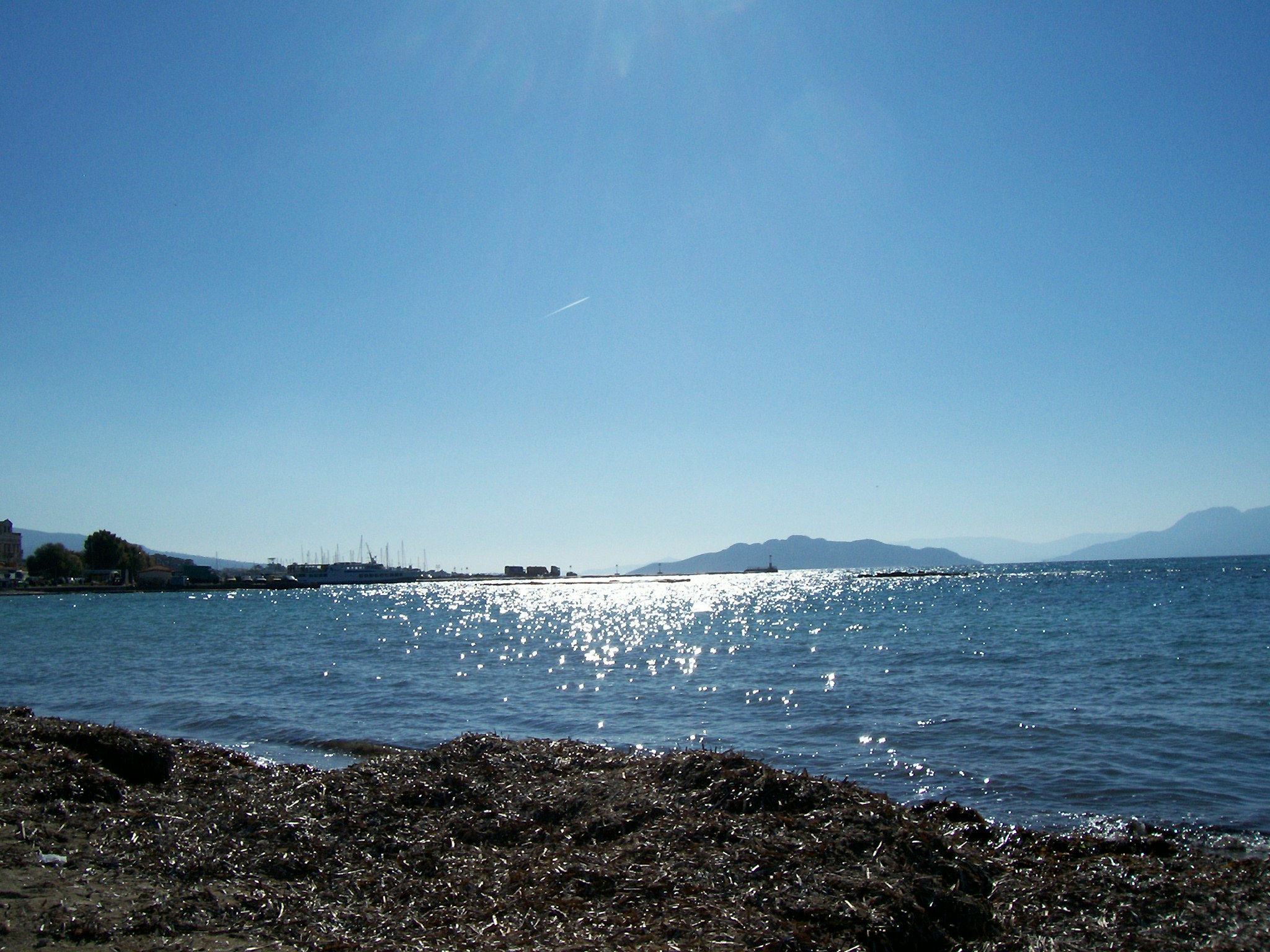 100_0737.jpg
