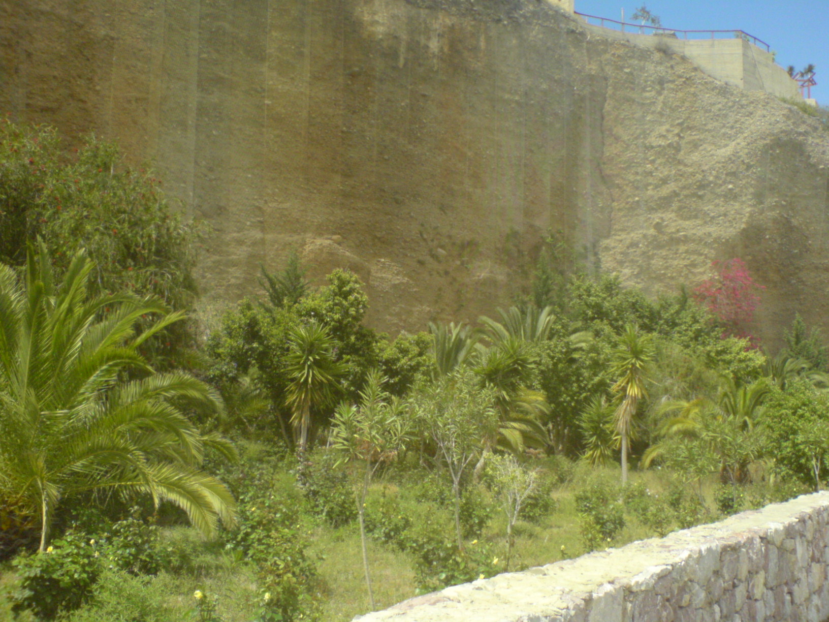 DSC00085.JPG