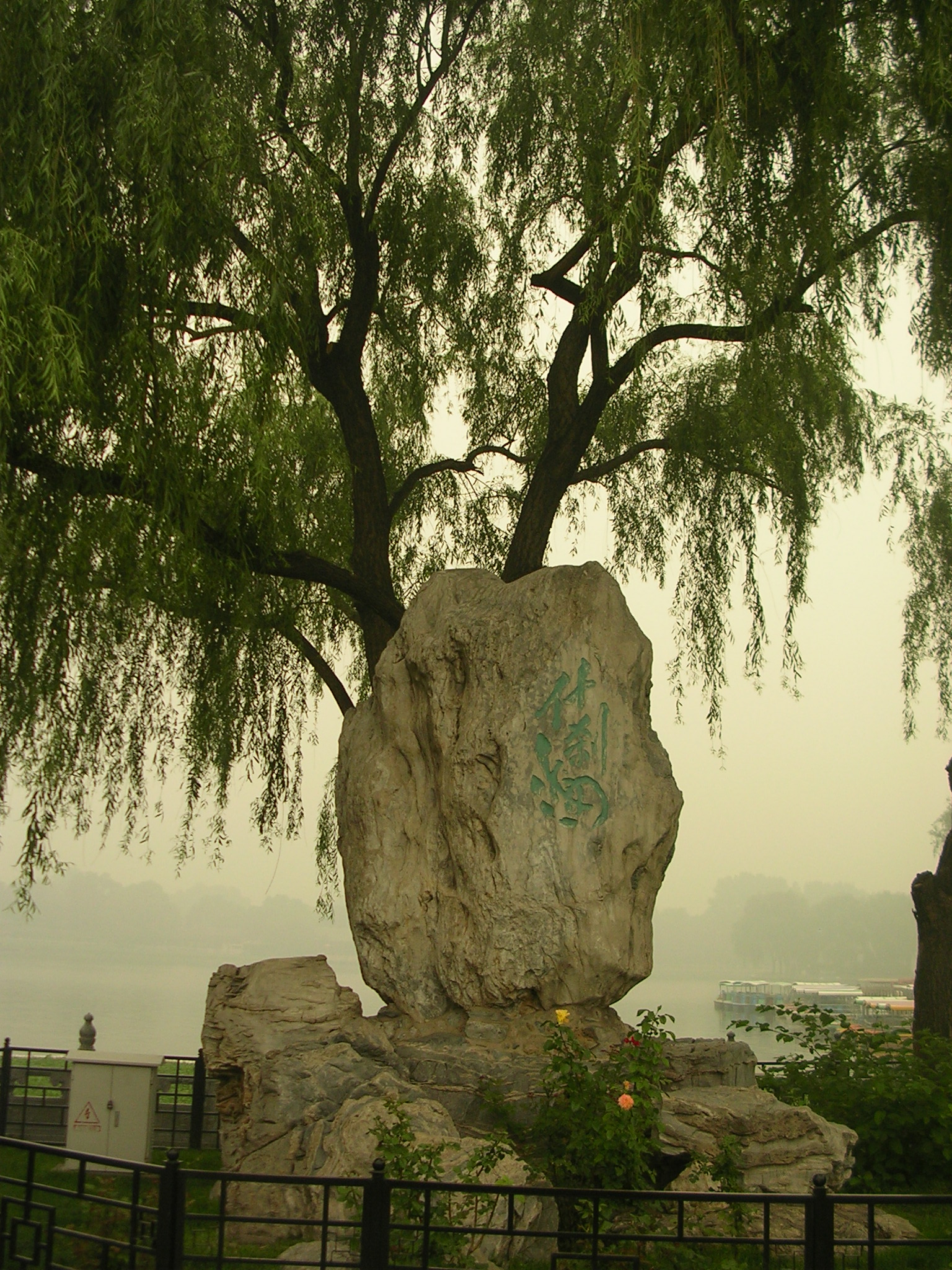DSCN7564.JPG