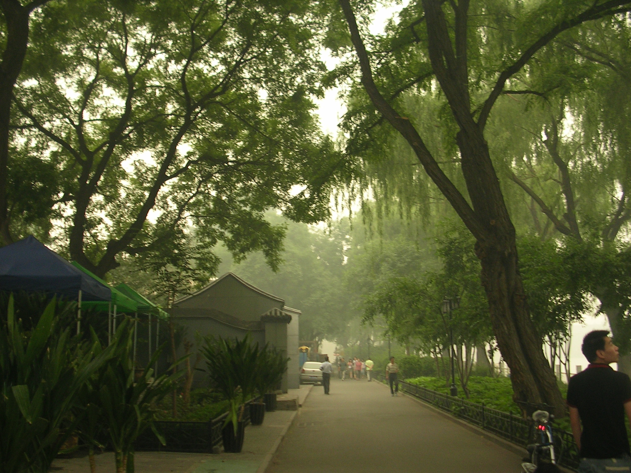 DSCN7561.JPG