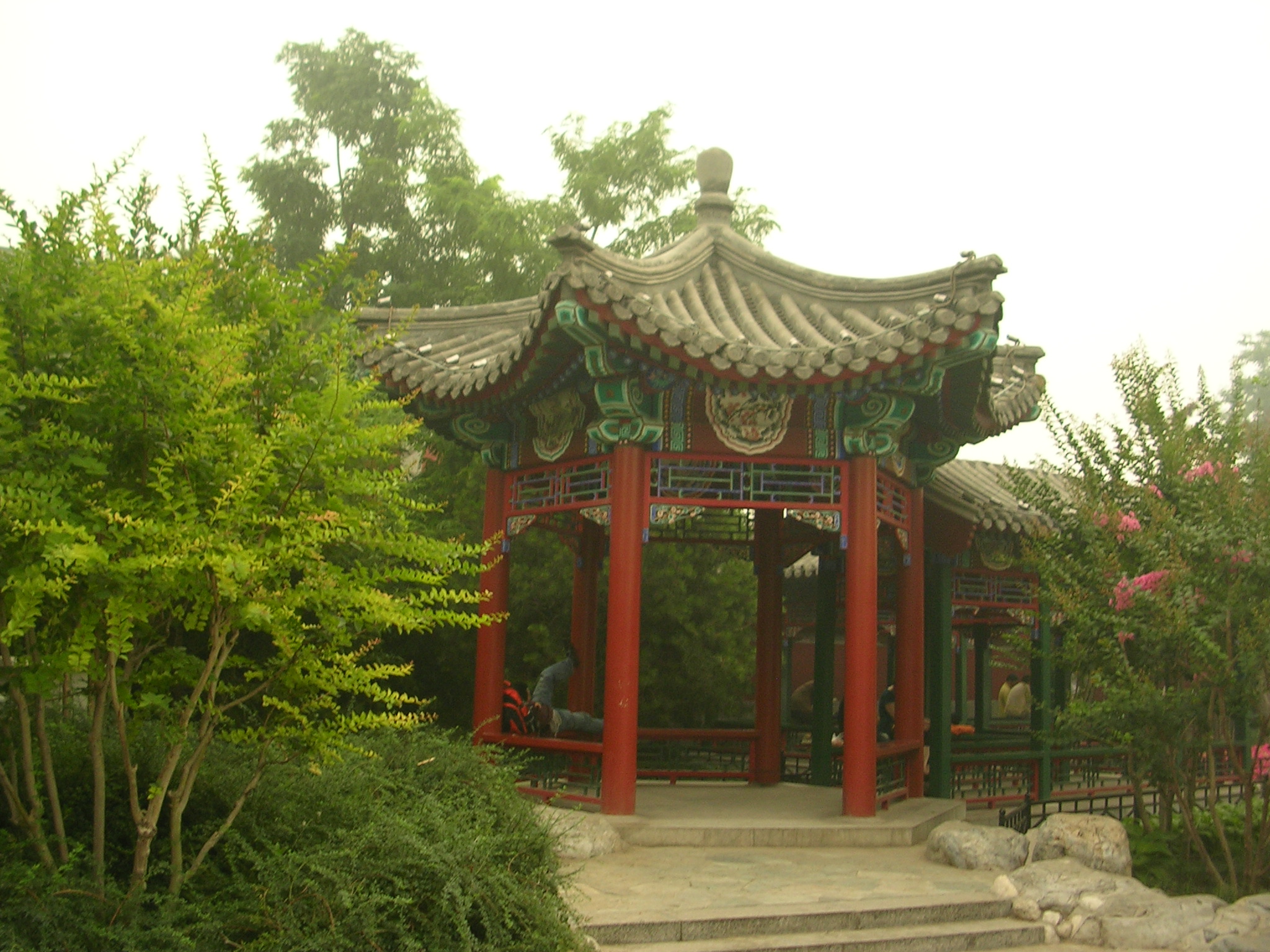 DSCN7556.JPG