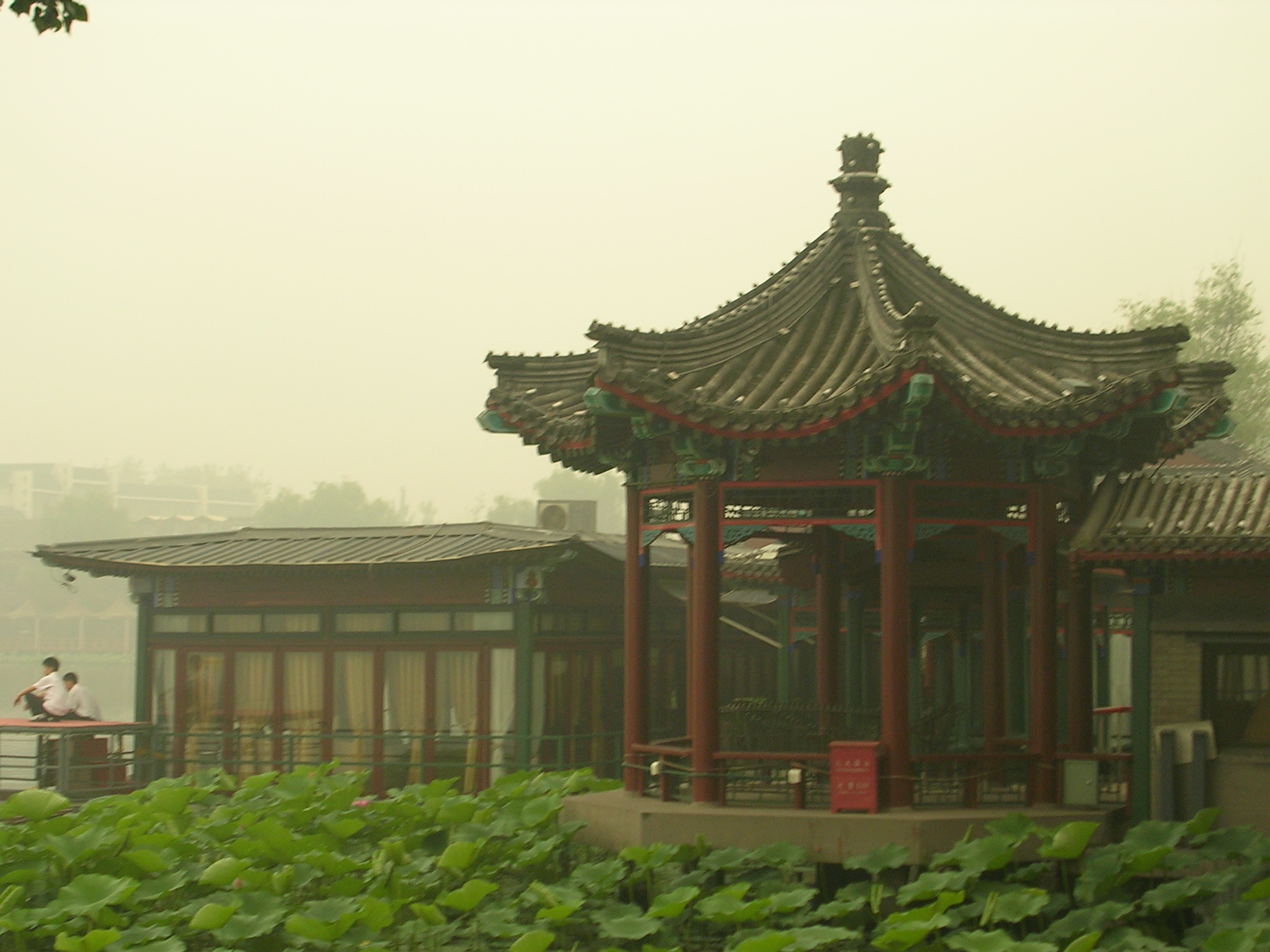 DSCN7544.JPG