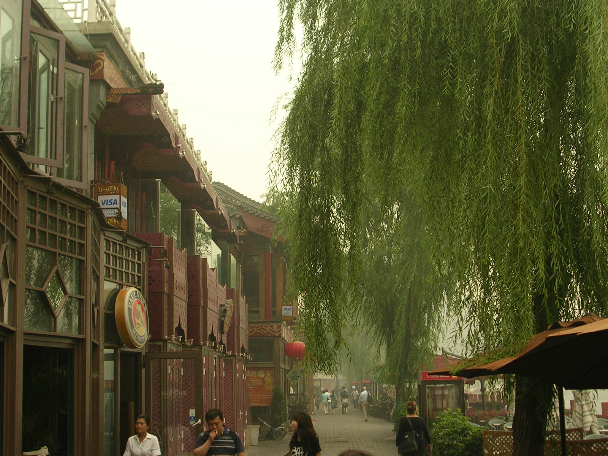 DSCN7535.JPG