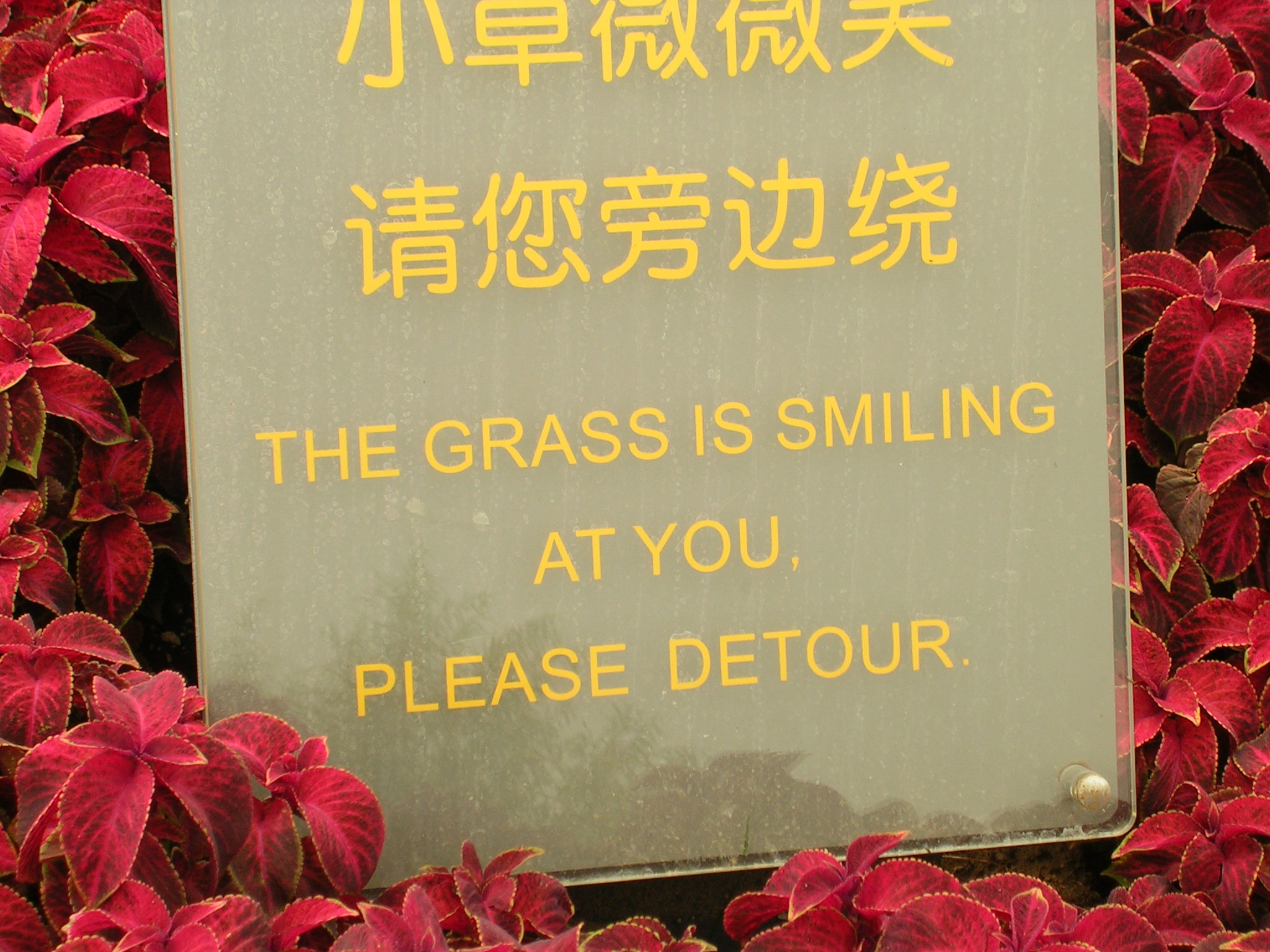 DSCN7516.JPG