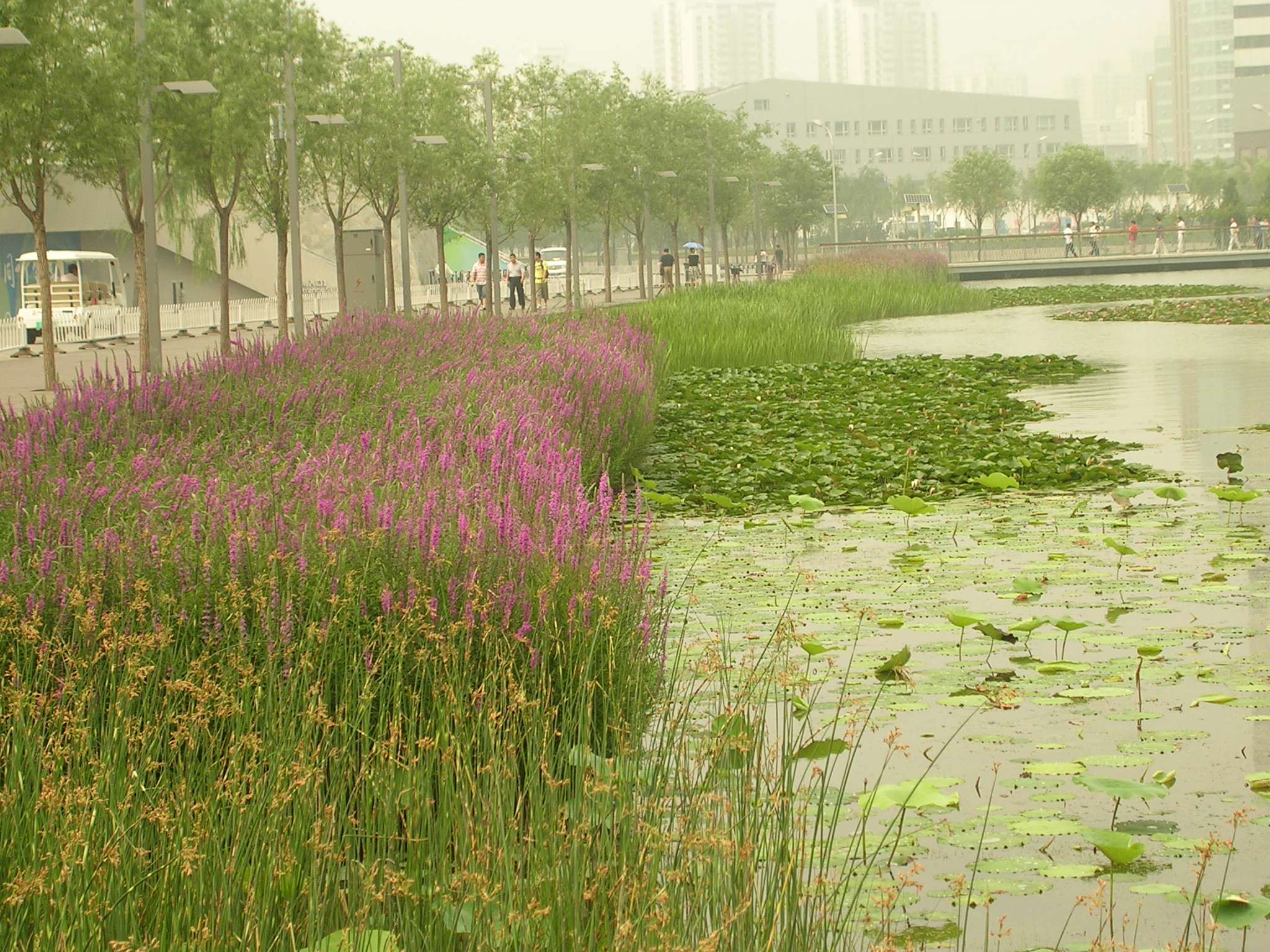 DSCN7515.JPG
