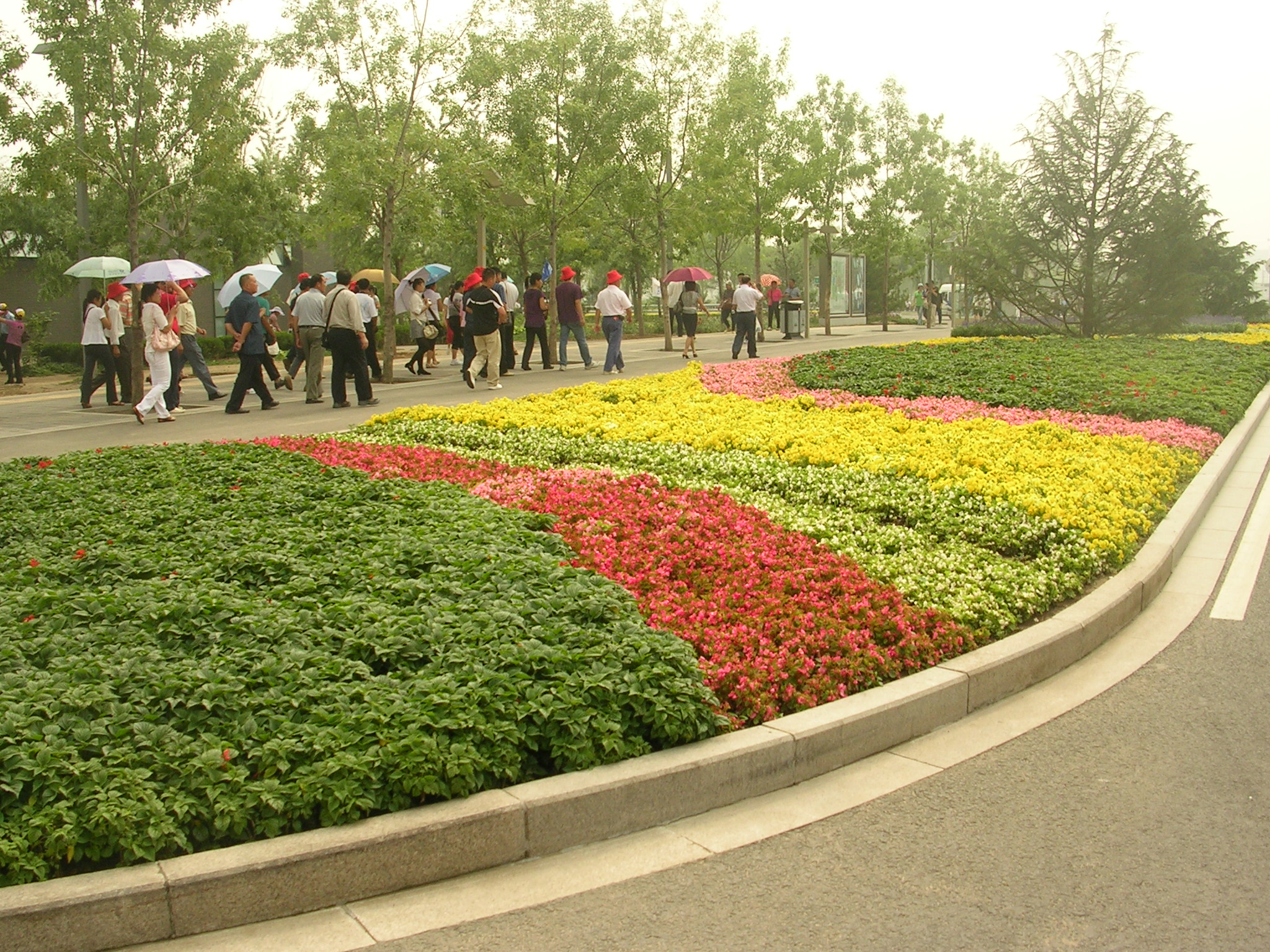 DSCN7508.JPG