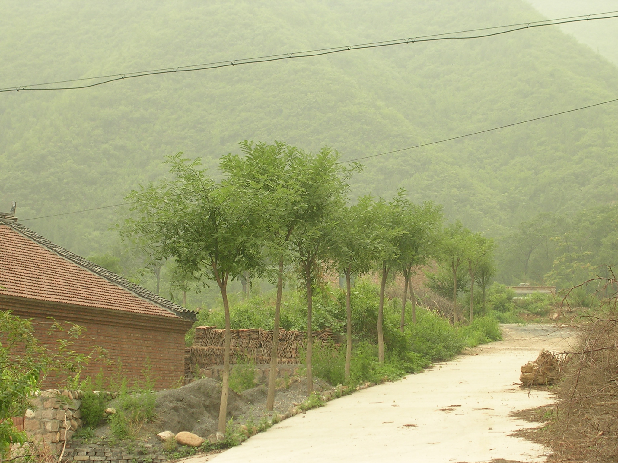 DSCN7496.JPG