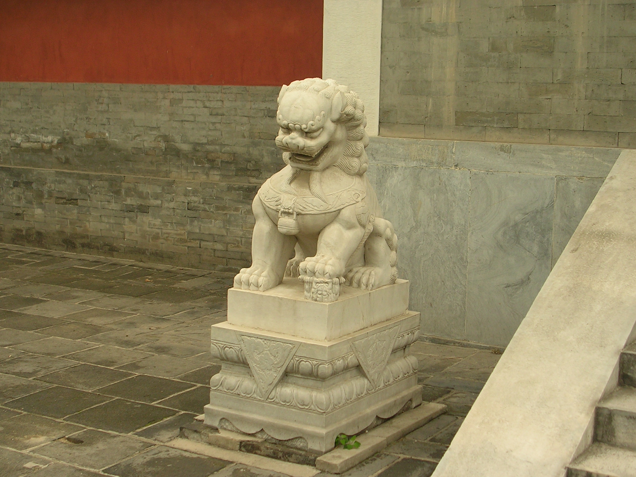 DSCN7445.JPG