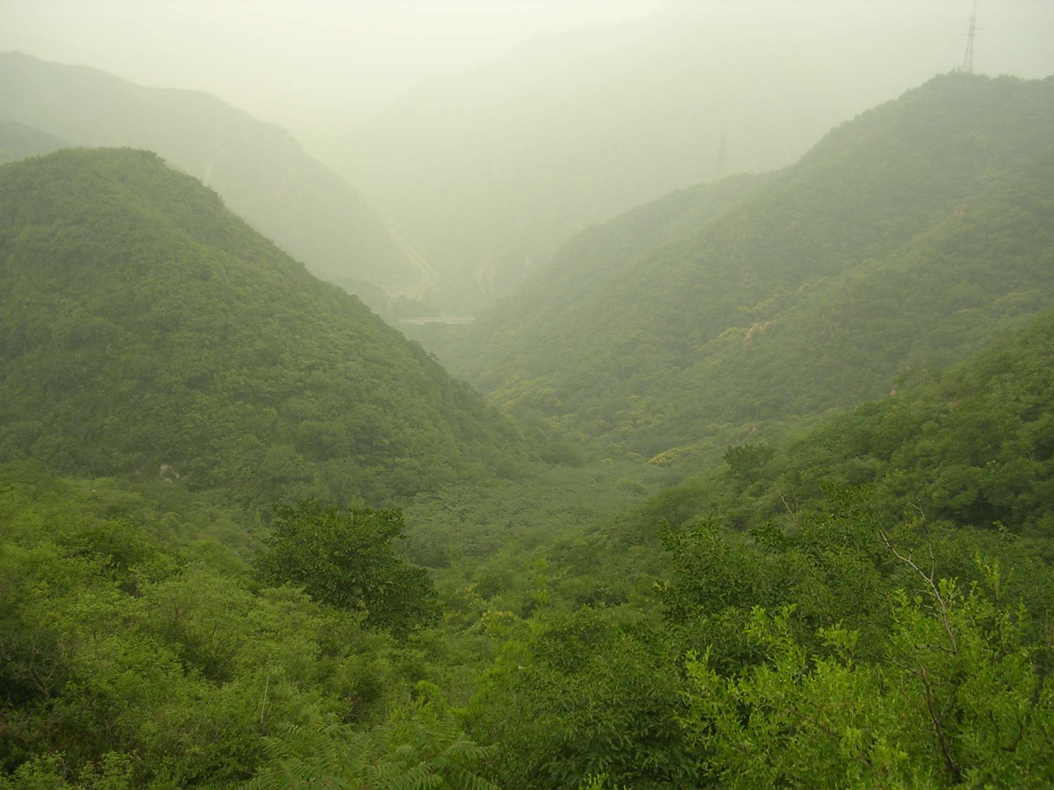 DSCN7434.JPG