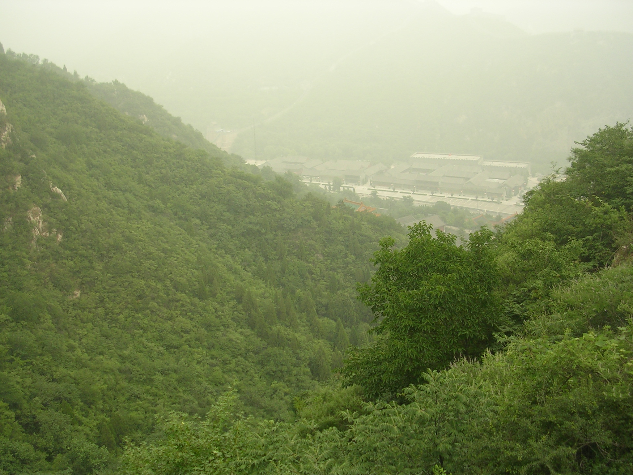 DSCN7422.JPG