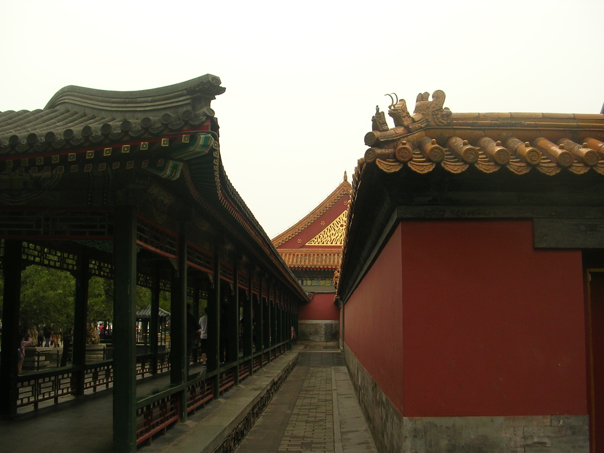DSCN7348.JPG
