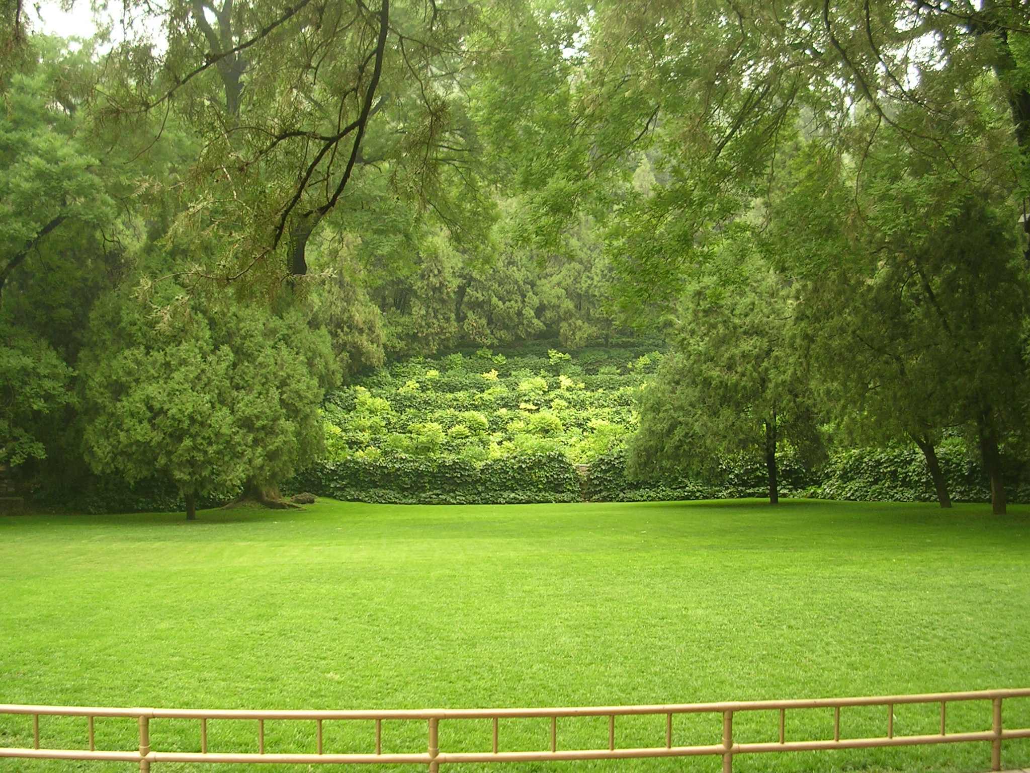 DSCN7347.JPG