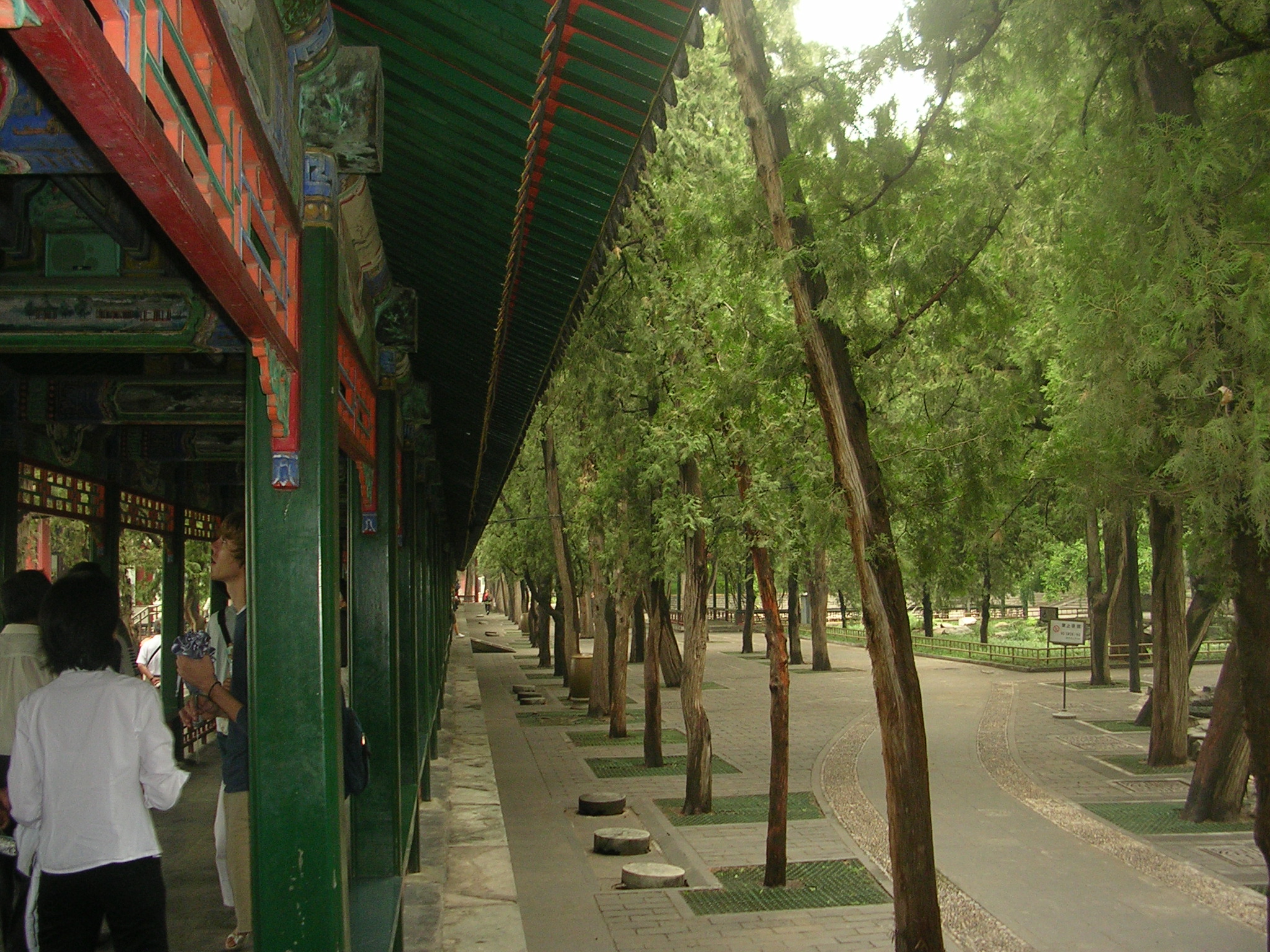 DSCN7342.JPG