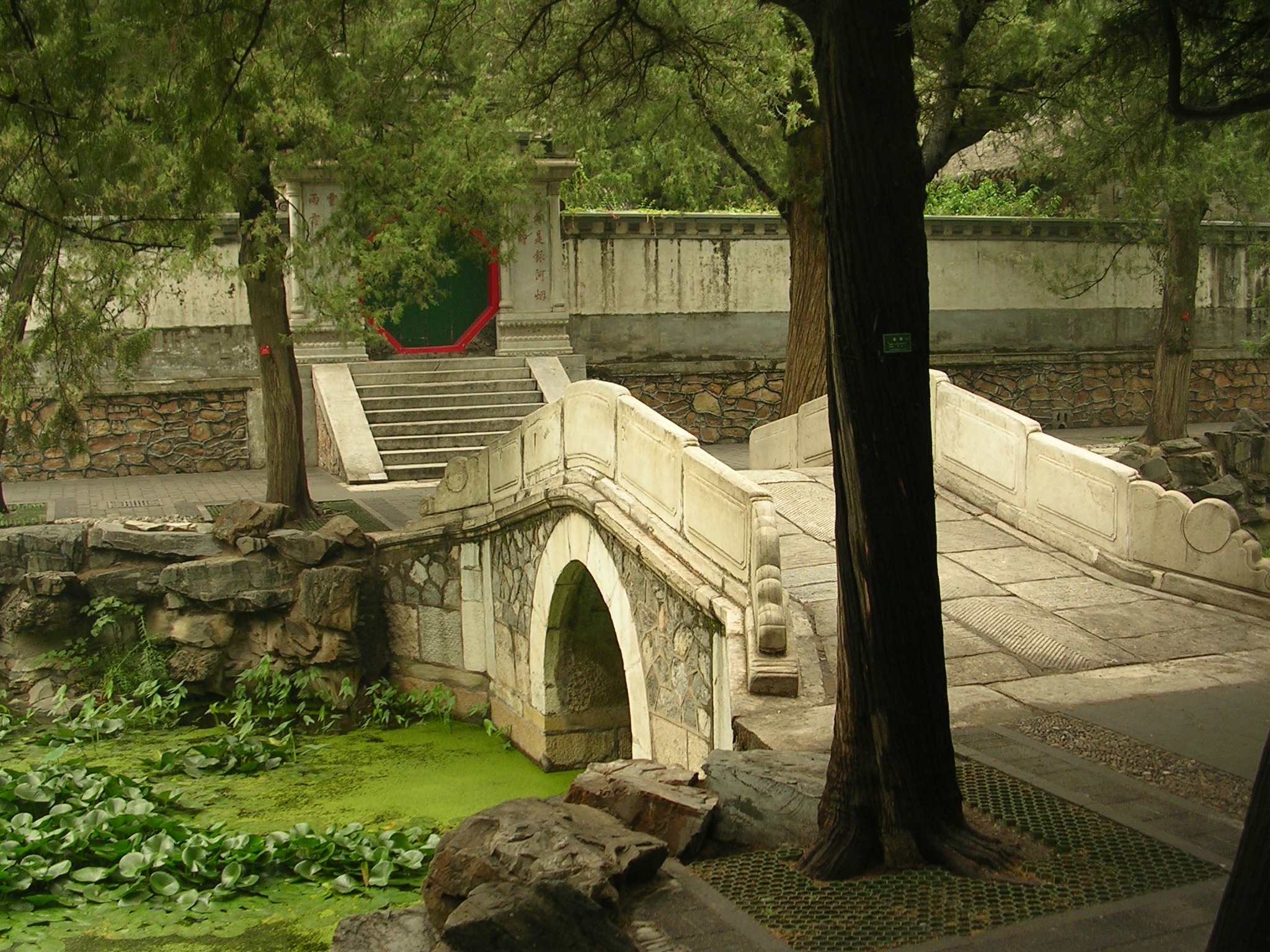 DSCN7338.JPG