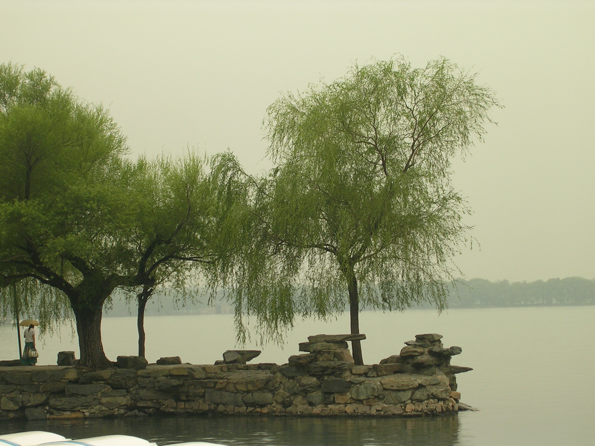 DSCN7323.JPG