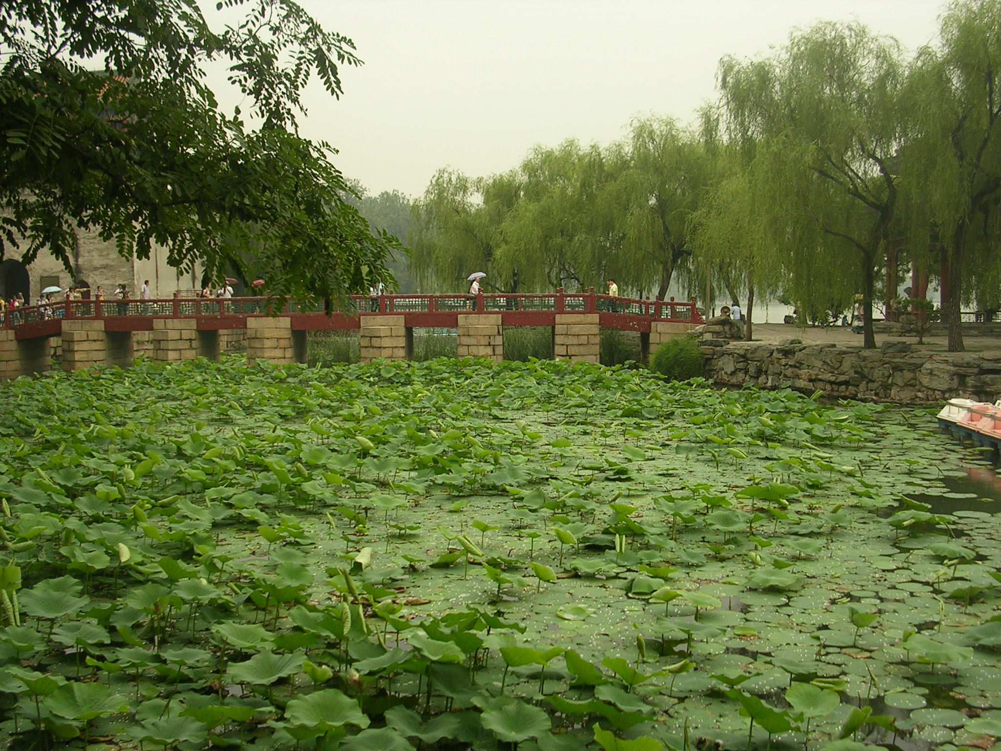 DSCN7322.JPG