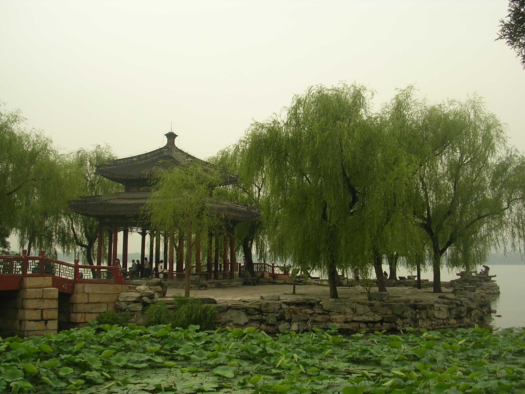 DSCN7320.JPG