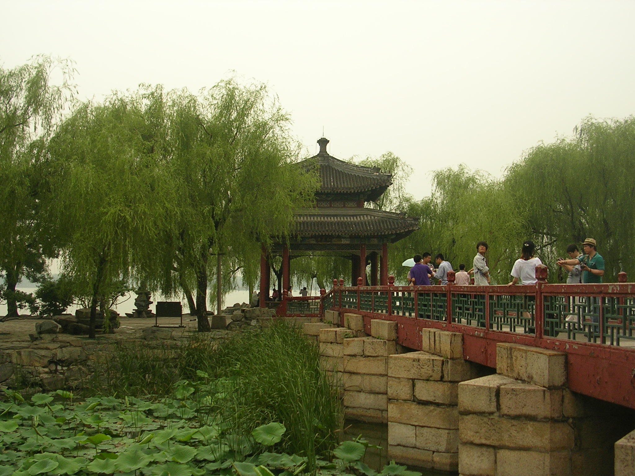 DSCN7318.JPG