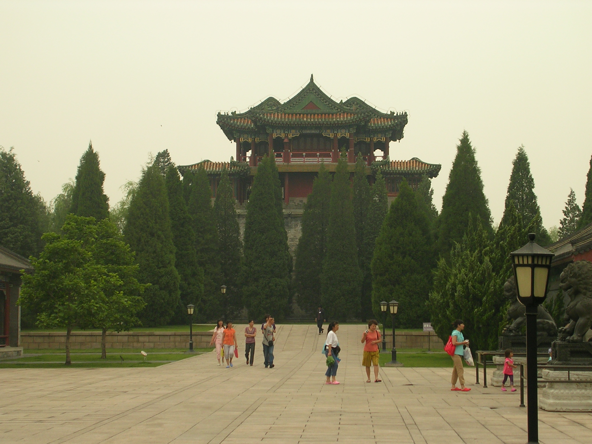 DSCN7313.JPG