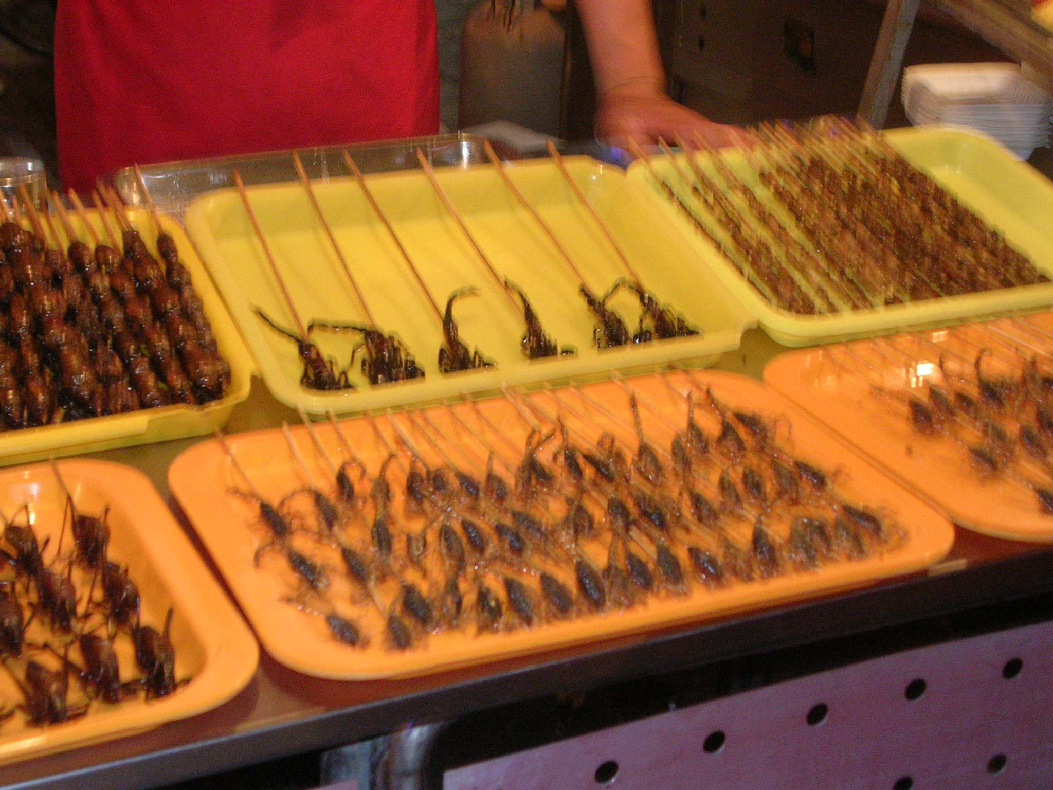 DSCN7246.JPG