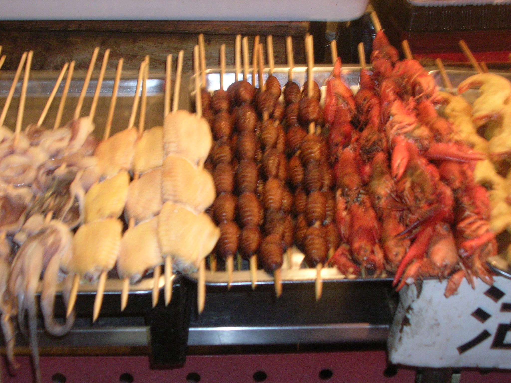 DSCN7237.JPG