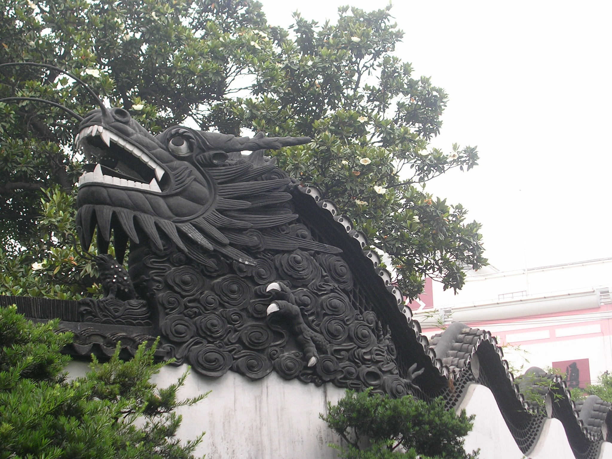 DSCN7107.JPG