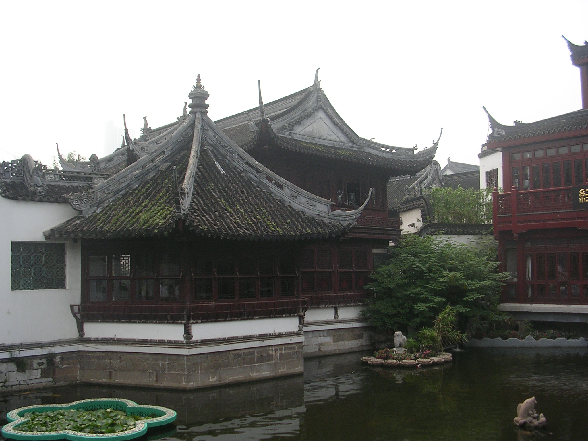 DSCN7098.JPG