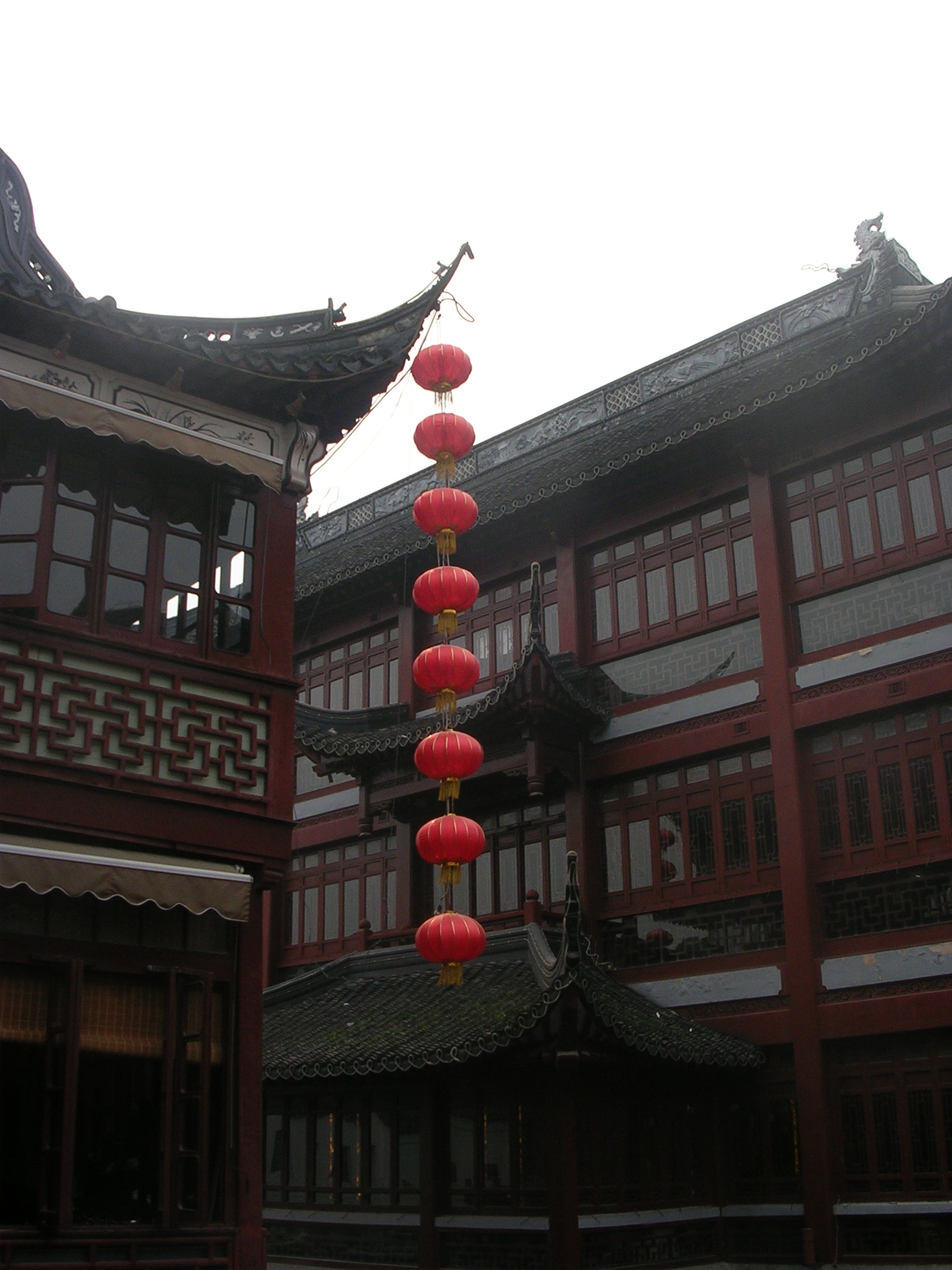 DSCN7095.JPG