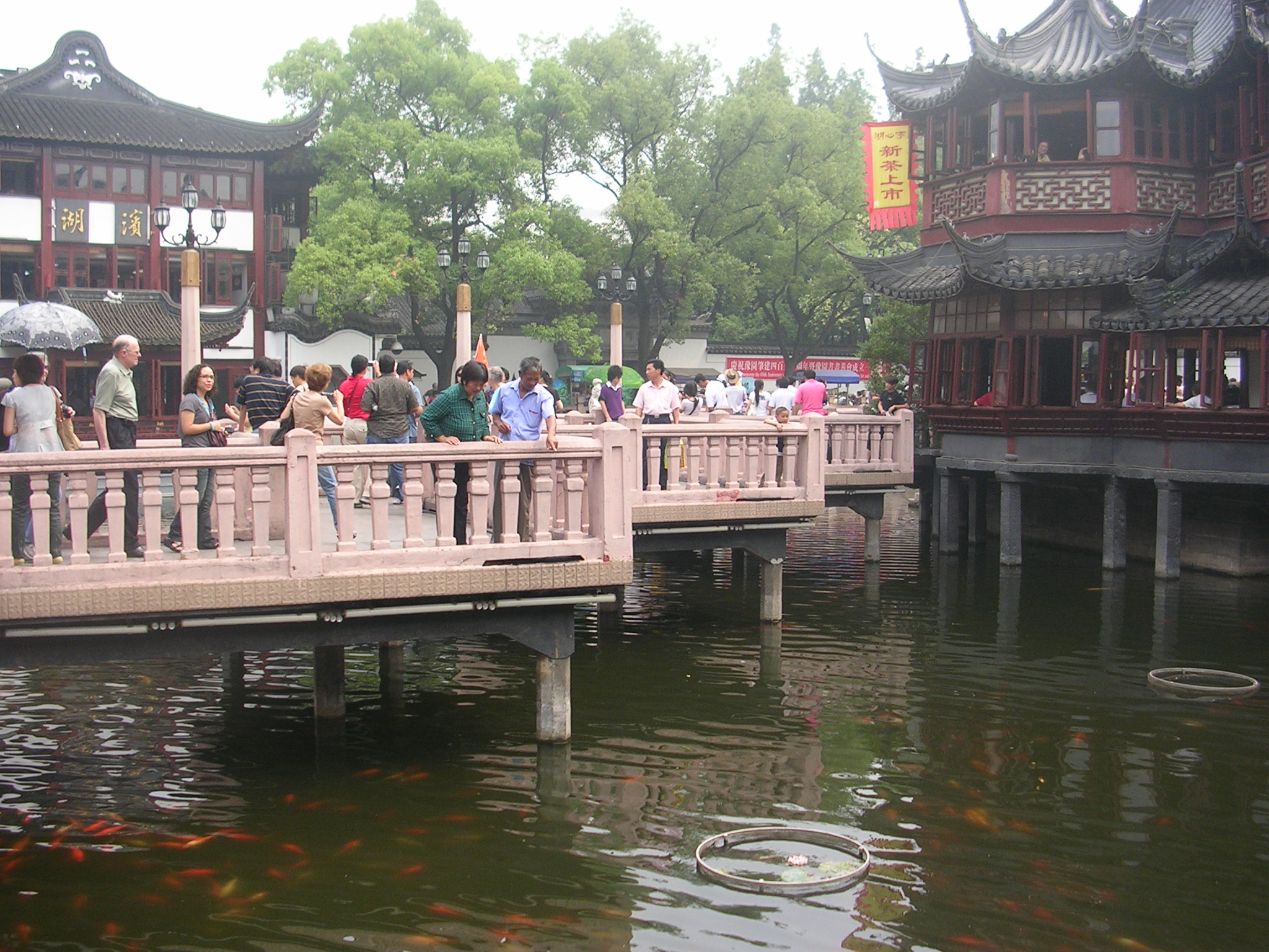 DSCN7088.JPG