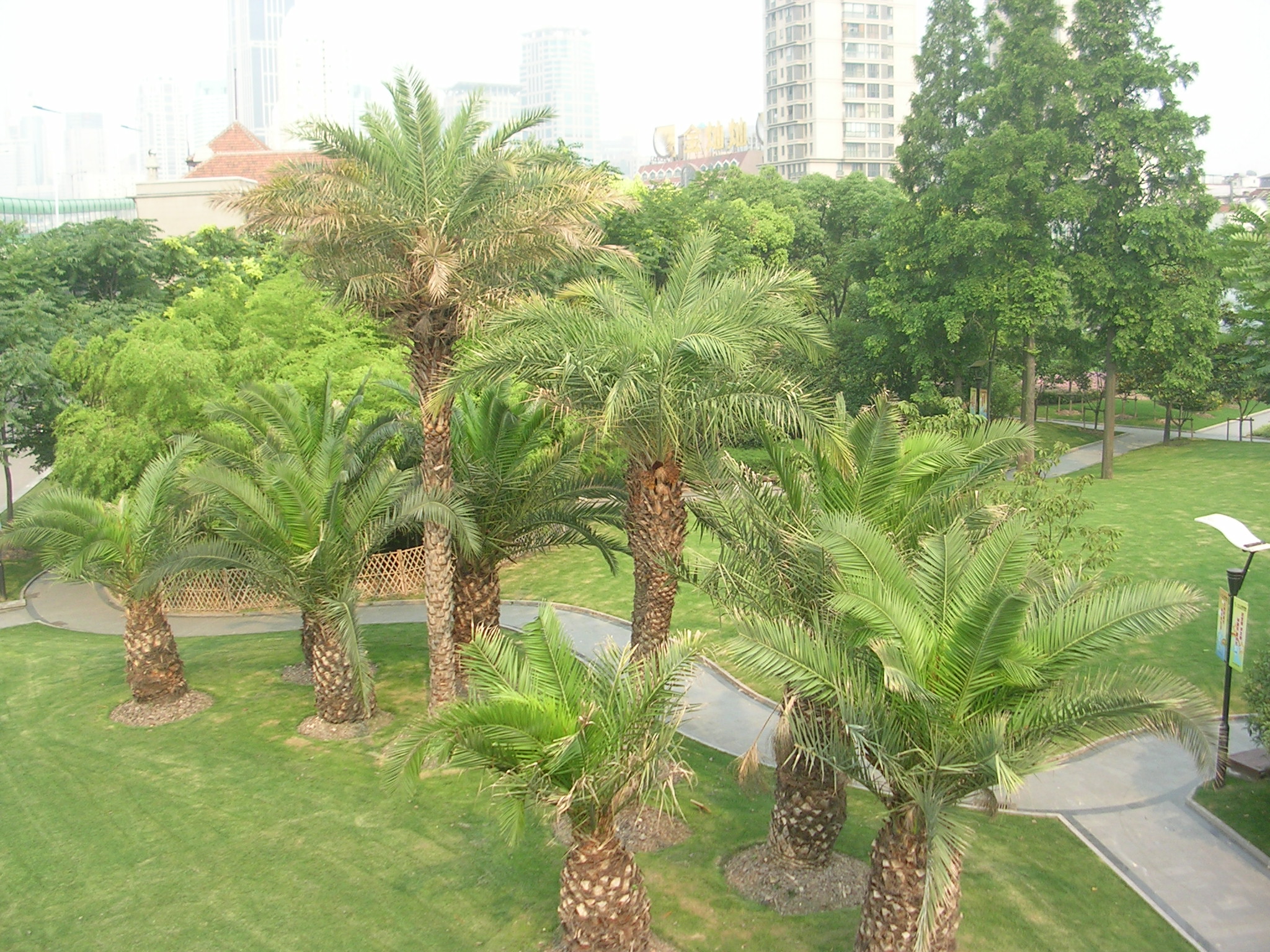 DSCN7046.JPG