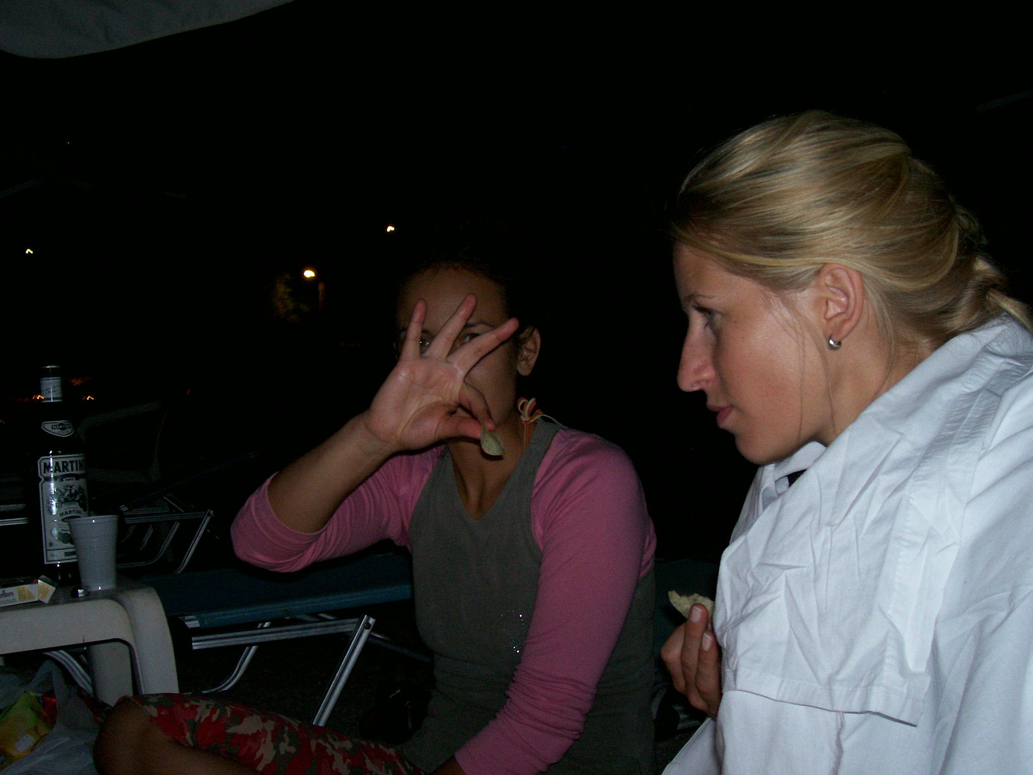 100_0343.jpg