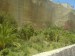 DSC00085.JPG