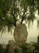 DSCN7564.JPG