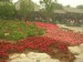DSCN7557.JPG