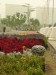 DSCN7521.JPG
