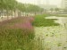 DSCN7515.JPG