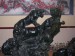 DSCN7398.JPG