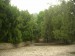 DSCN7344.JPG