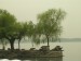 DSCN7323.JPG