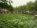 DSCN7322.JPG