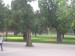 DSCN7169.JPG