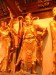 DSCN7123.JPG