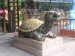 DSCN7084.JPG