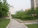 DSCN7047.JPG