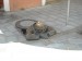 DSCN0537.JPG