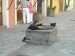 DSCN0538.JPG